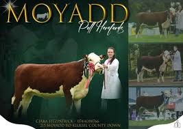 Image result for A J Activities, Herefordshire