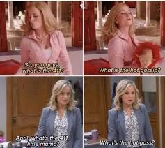 Image result for Bugaboo Cameleon Amy Poehler