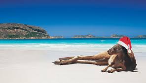 Image result for weihnachten in australien