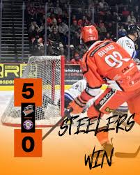 Image result for Sheffield Steelers