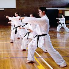 Image result for GKR KARATE - ESSEX & SUFFOLK