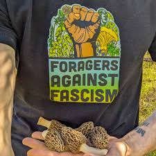 Attēlu rezultāti vaicājumam “Lycogala confusum young”