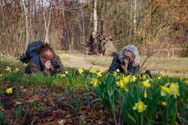 Image result for Heemtuin Rucphen