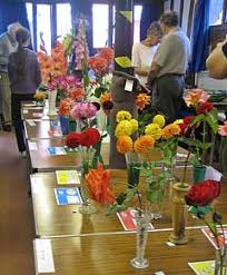 Image result for Abbots Bromley Indoor Bowls Club