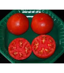 Afbeeldingsresultaat voor kosmonaut volkov 68D tomato