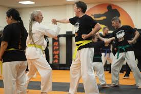 Image result for Kidderminster Tae Kwon Do Tigers