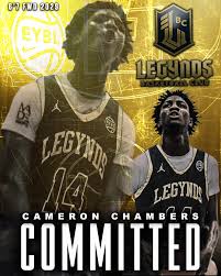 Image result for Lazyboys Basketball Club
