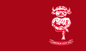 Image result for South Lincoln Jfc