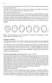 Attēlu rezultāti vaicājumam “Ochropsora ariae spores”
