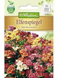 Image result for Elfenspiegel