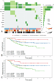 「エンリカ・クローチェ」の画像検索結果