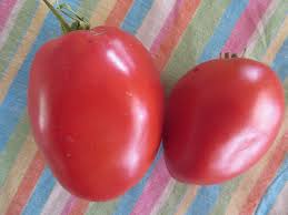 Afbeeldingsresultaat voor amish paste tomato