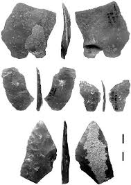 Image result for feuille-laurier-silex