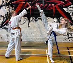 Image result for Tsunami Karate Club