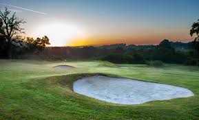 Image result for Betchworth Park Golf Club