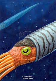 Attēlu rezultāti vaicājumam “Endoceras”