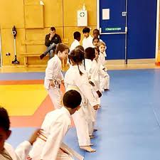 Image result for Croydon Judo Club