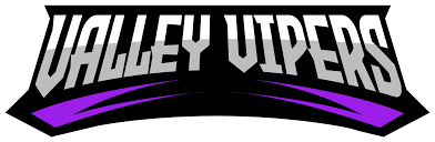 Image result for Spen Valley Vipers