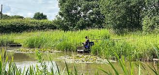 Image result for Dunham Massey Angling Club