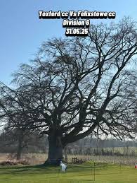 Image result for Yoxford Cricket Club