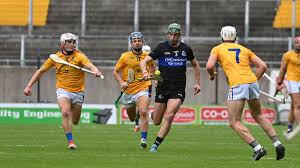 Image result for Patrick Sarsfield Gaelic Athletic Club