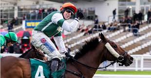 Image result for Rockhampton Cricket Club