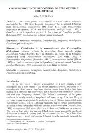 Attēlu rezultāti vaicājumam “Paracorymbia maculicornis imago”