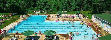 Image result for Downham & District Swimming Club