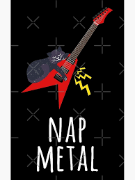 Image result for Cat sleeping in guitar