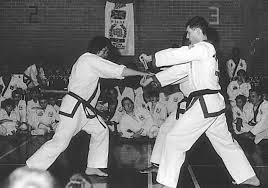 Image result for Tang Sou Dao Ren Yi Wu Kwan - Huntingdon