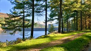 Image result for Derwent Valley Atc