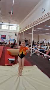 Image result for Kestrel Gymnastic Group