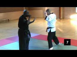 Image result for Budo Shin Ryu Kempo Jujitsu Academy