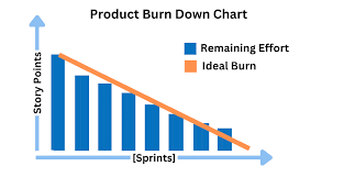 Image result for burnup chart