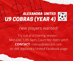 Image result for Alexandra United Football Club