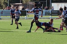 Image result for Harpenden Rugby Club