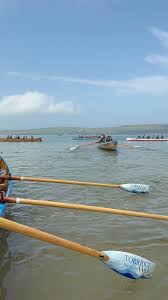 Image result for Torridge Pilot Gig Club