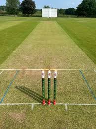 Image result for Oulton Park Cricket Club