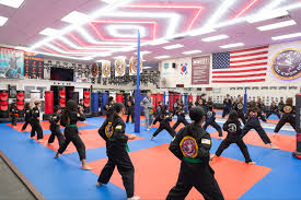 Image result for Professional  Martial Arts Academy