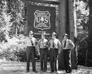 Chain of Command - USFS History - Forest History Society