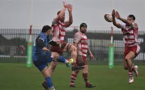 Image result for Milford Haven R F C