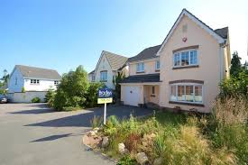 Image result for Newton Abbott Knights