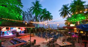 Image result for Harbour Lights Snorkelling Club (HLSC)