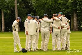 Image result for Halstead Cricket Club