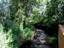 Image result for Wythall Cc