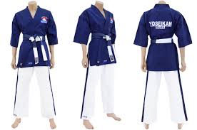 Image result for Yoseikan Budo England