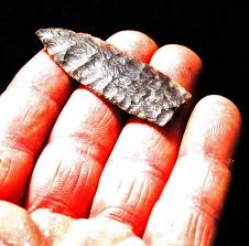 Image result for feuille-laurier-silex