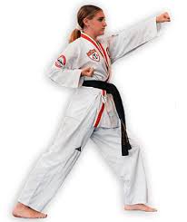 Image result for Turners Tae Kwon Do