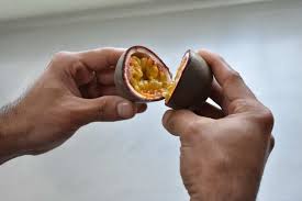 Attēlu rezultāti vaicājumam “Libanotis montana fruit”