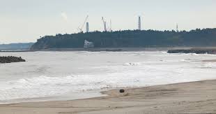 Hasil gambar untuk tsunami jepang